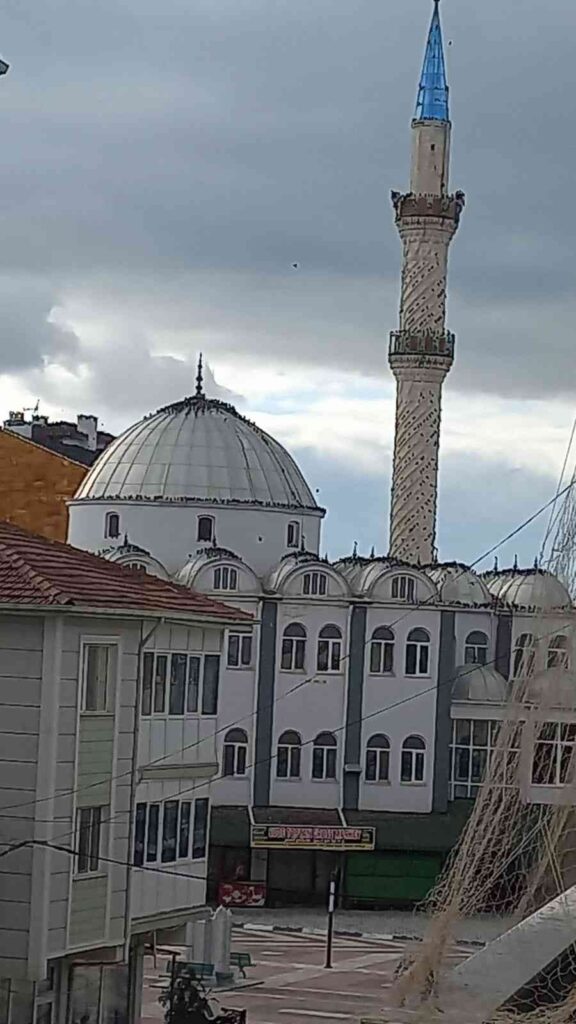 Göçmen Kuşların Cami̇ Çevresi̇ndeki̇ Görüntüsü Görsel Şölen Oluşturdu