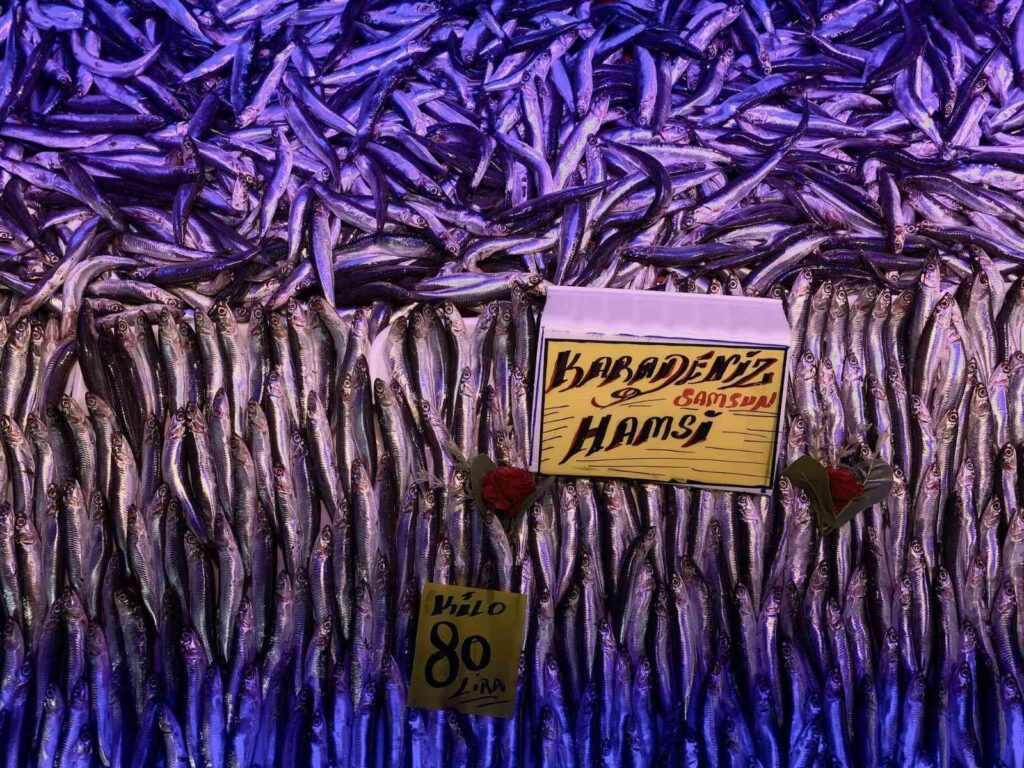 Hamsi̇ Tezgâhları Şenlendi̇rmeye Başladı