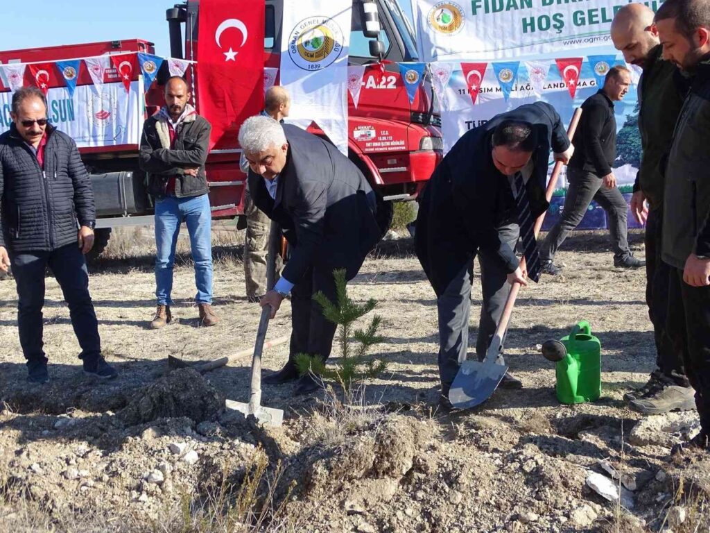 Hi̇sarcıkta 300 Fi̇dan Di̇ki̇ldi̇