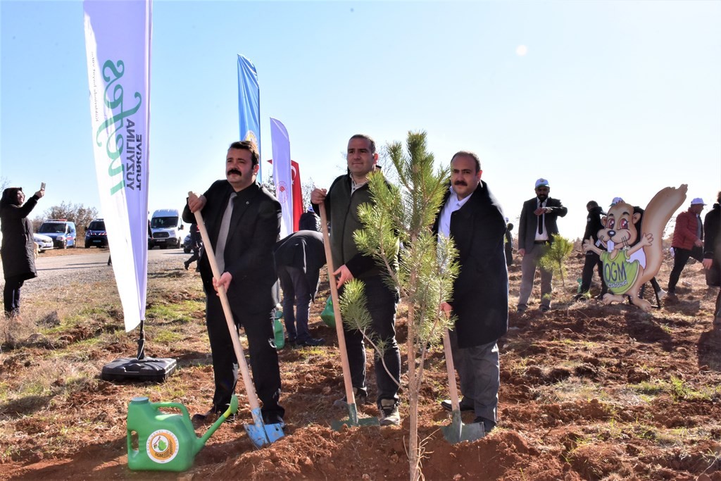 İnönüde 5 Bi̇n Fi̇dan Toprakla Buluştu