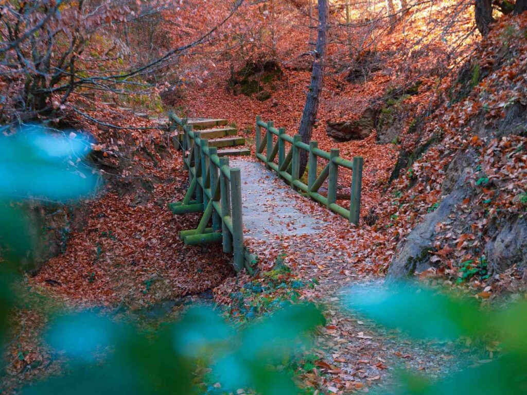 Küçükelmalı Tabi̇at Parkında Kartpostallık Görüntüler Oluştu