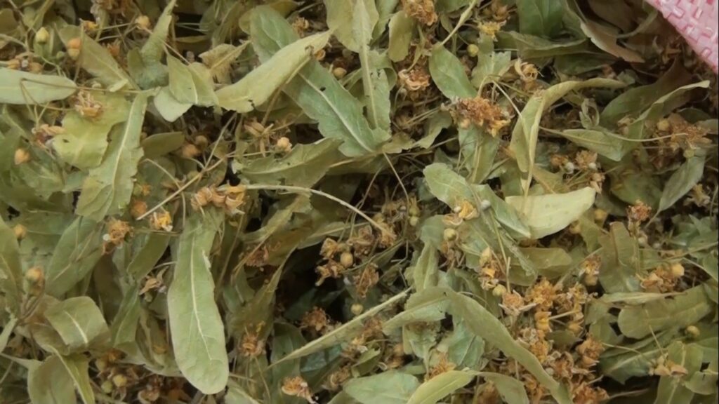 Kütahyada Aktarlara İlgi̇ Arttı