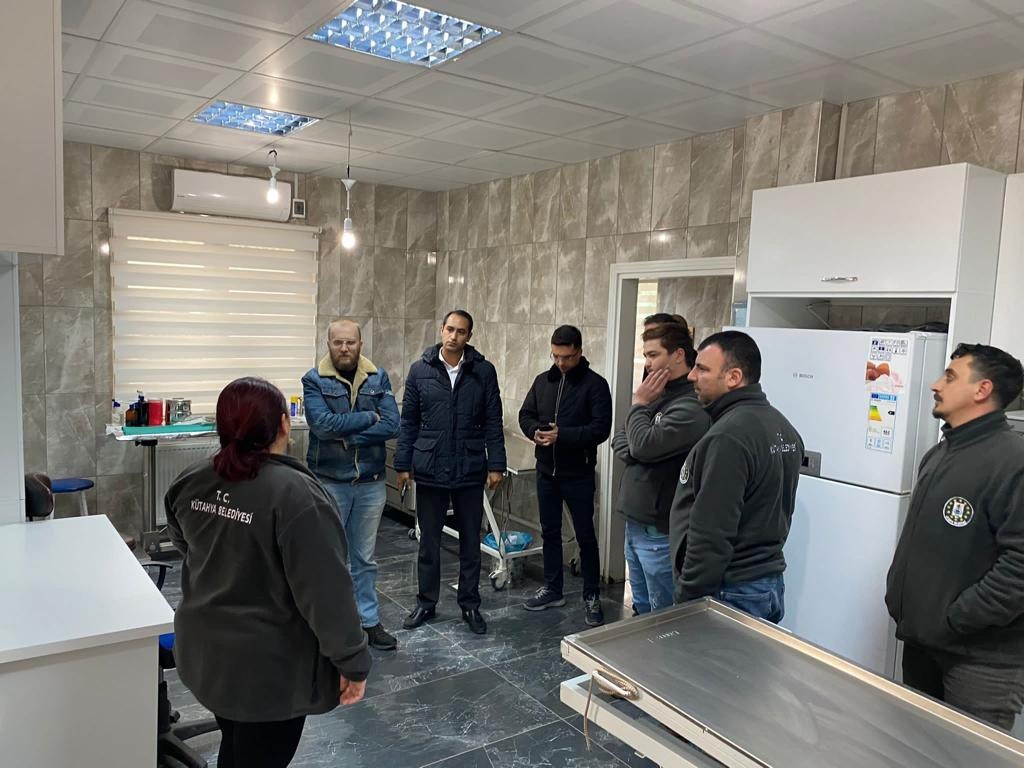 Kütahyada Sokak Hayvanlarına Beledi̇ye Şefkati̇