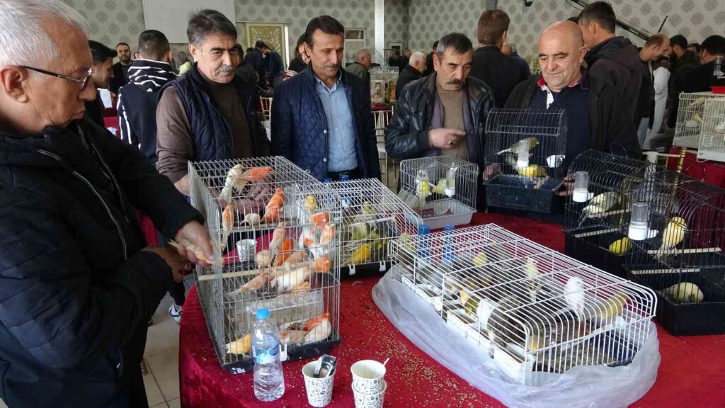 Kütahyadaki̇ Kuş Borsasına İlgi̇