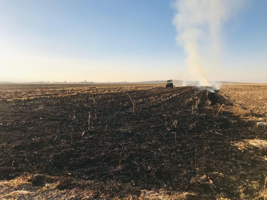 Mısır Tarlasında Anız Yakan Şahsa Yasal İşlem Uygulandı