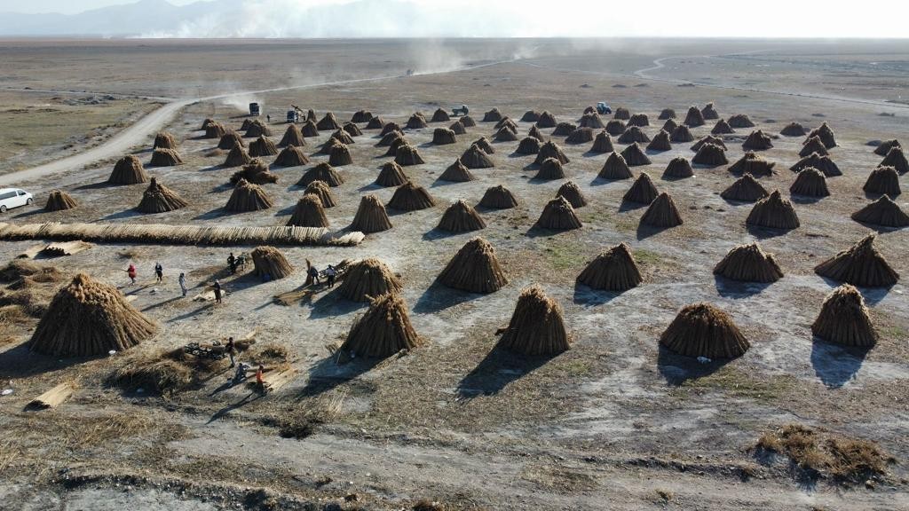 (Özel) 5 Aylık Kamış Sezonunda 1 Mi̇lyon Dolarlık İhracat Yapıyorlar