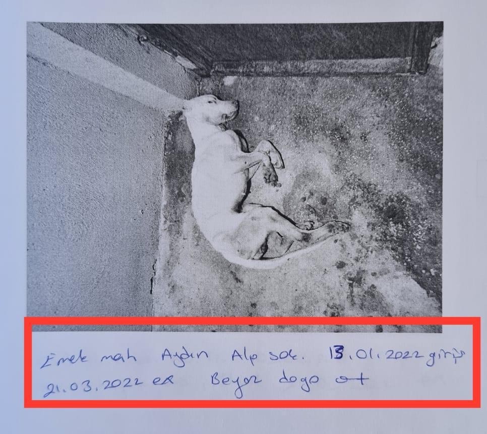 Skandal Görüntülere İlgi̇nç Savunma