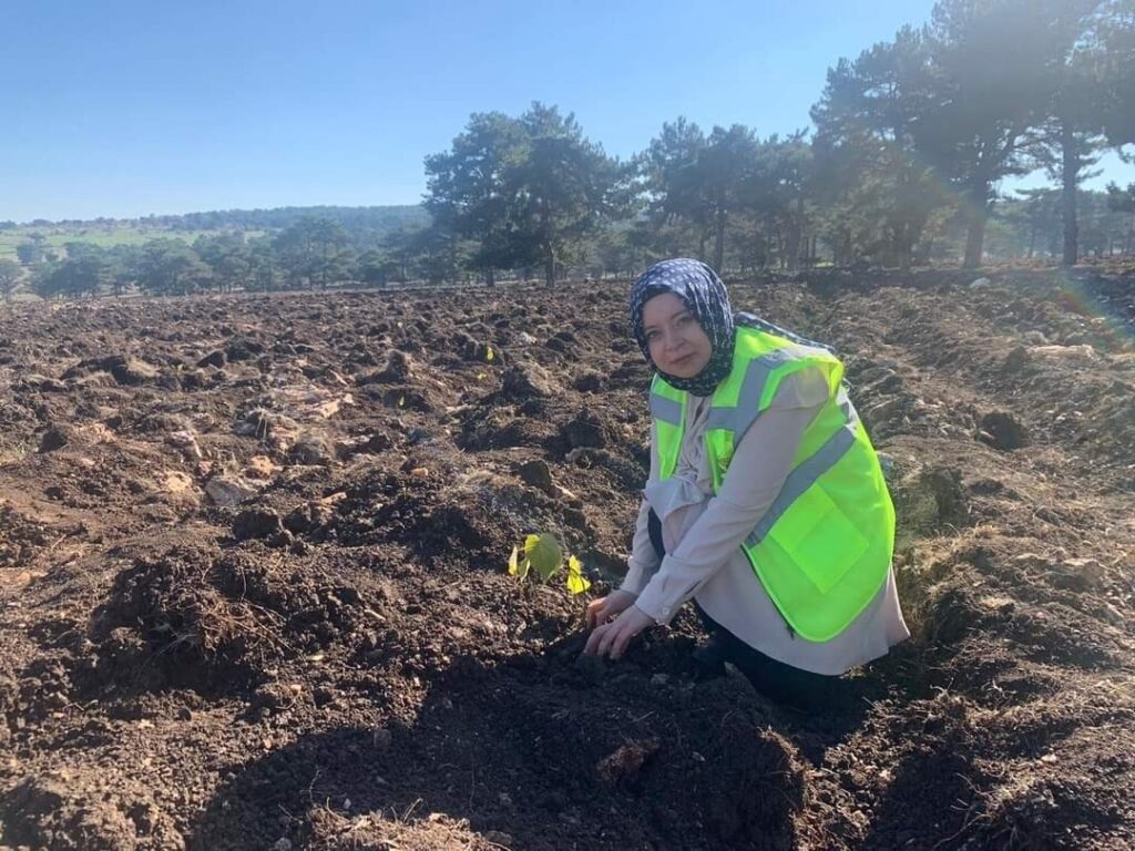 Tohumlar Fi̇dana, Fi̇danlar Seyi̇tgazi̇ye