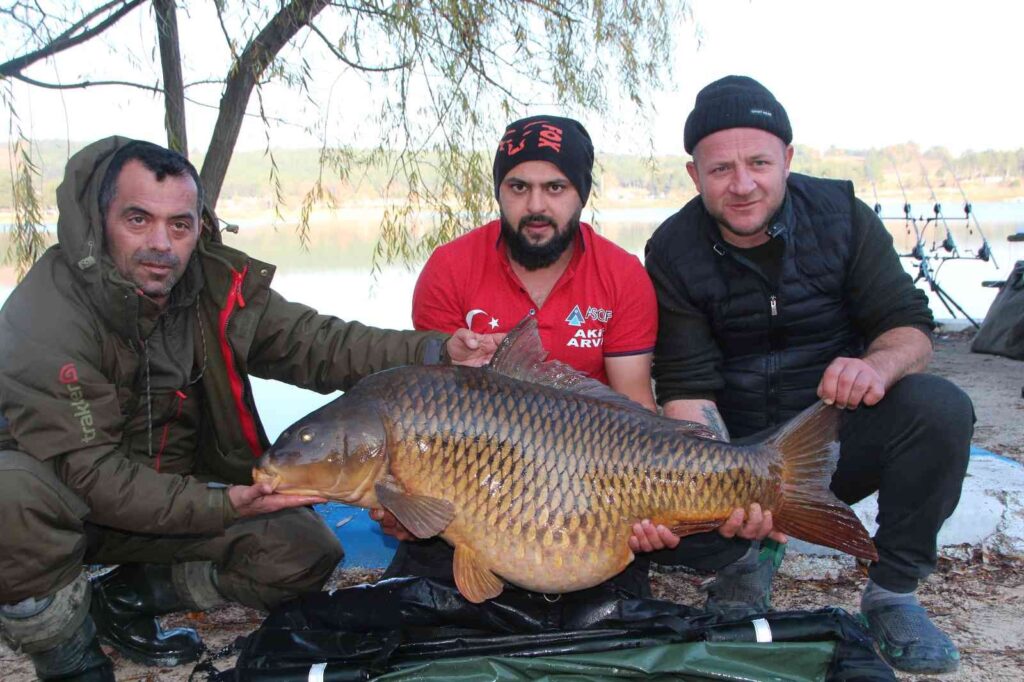 Türki̇yeni̇n En Büyük Sazanı Bi̇leci̇kte Yakalandı