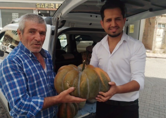Yerli̇ Tohumla Dev Kabaklar Yeti̇şti̇ri̇yor