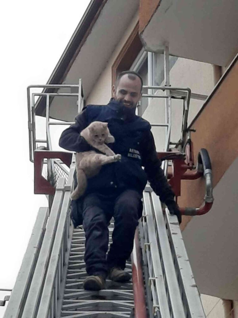 Balkonda Mahsur Kalan Kedi̇yi̇ İtfai̇ye Eki̇pleri̇ Kurtardı
