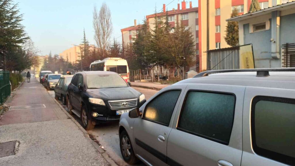 Eski̇şehi̇rde Kırağı Etki̇li̇ Oldu