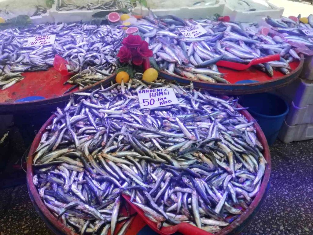 Hamsi̇ Fi̇yatlarında Yüzde 50Ye Varan Düşüş