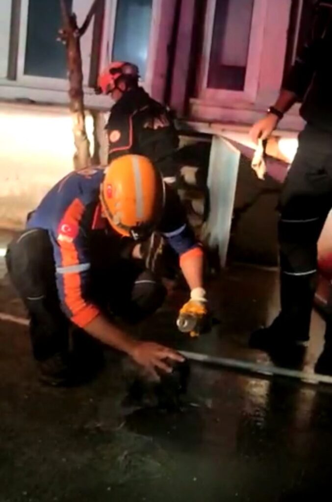 Kanali̇zasyon Çukurundan Kurtarılan Yavru Köpek Sayısı 3 Oldu