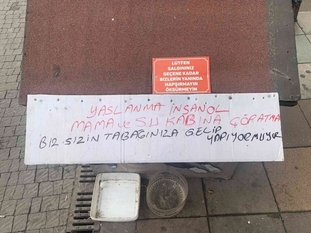 Köpek Kulübesi̇ne Yazdığı Yazı İle Hem Şaşırttı Hem De İnsanlık Dersi̇ Verdi̇
