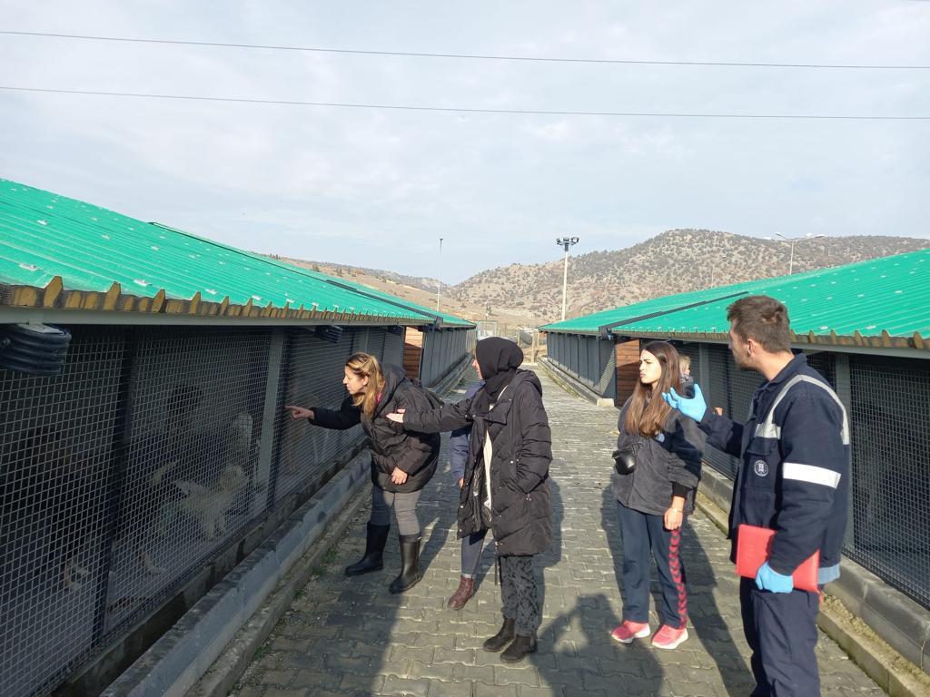 Müdür Ali̇ Bi̇lcan, Sokak Hayvanları İçi̇n Yapılacak Projeleri̇ Anlattı