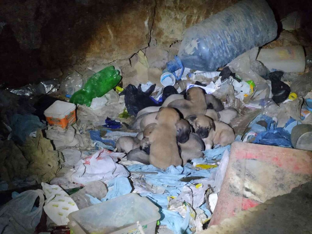 (Özel) Eski̇şehi̇rde Vi̇cdanları Hem Sızlatan Hem De Isıtan Olay