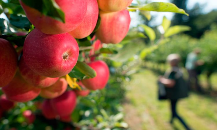 Kooperatifçilik Eğitimi Neden Alınmalı?
