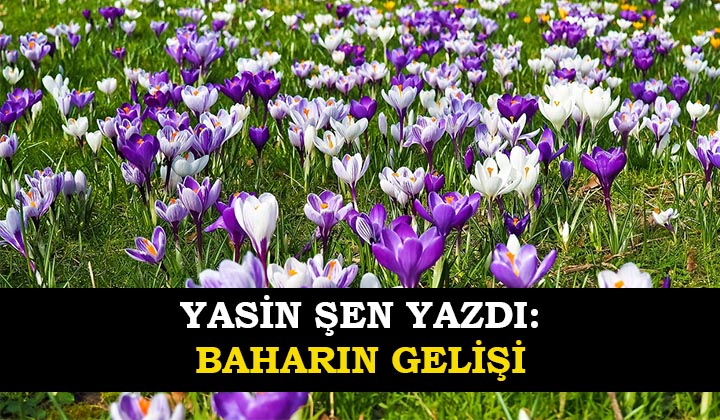 BAHARIN GELİŞİ