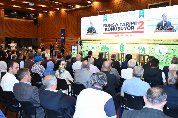 Bursa tarımı konuştu – İGF HABER
