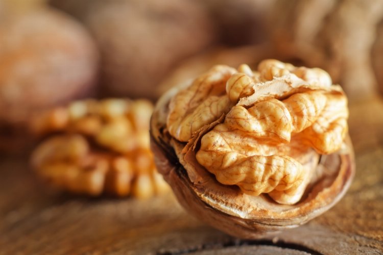 Yerli ceviz de markalaşacak – İGF HABER