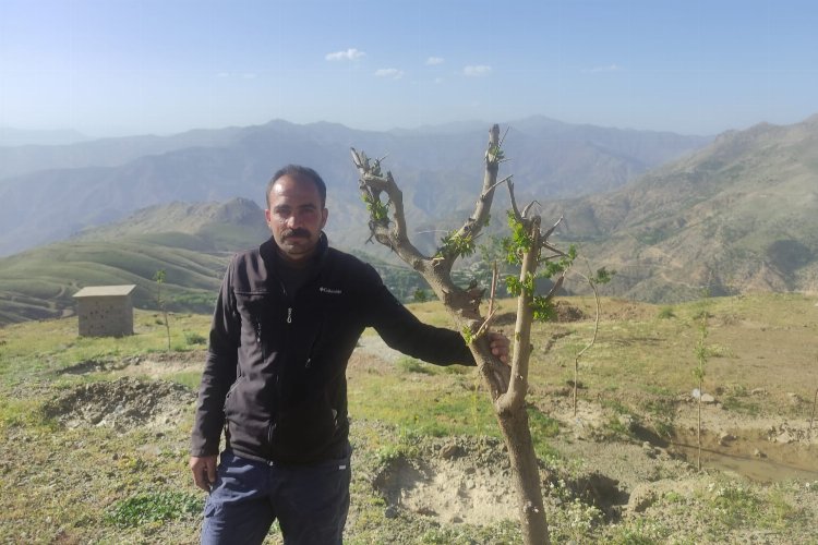 Sason Gölbaşı Yaylası ağaçlandırılıyor – İGF HABER