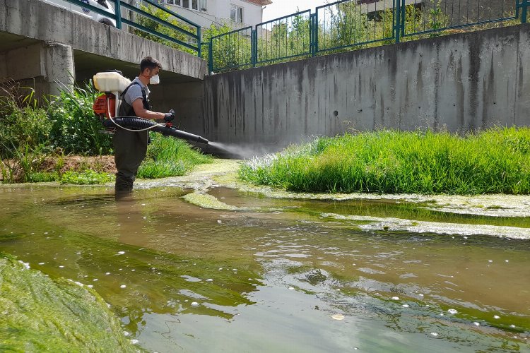 Kütahya genelinde ilaçlama sürüyor – İGF HABER