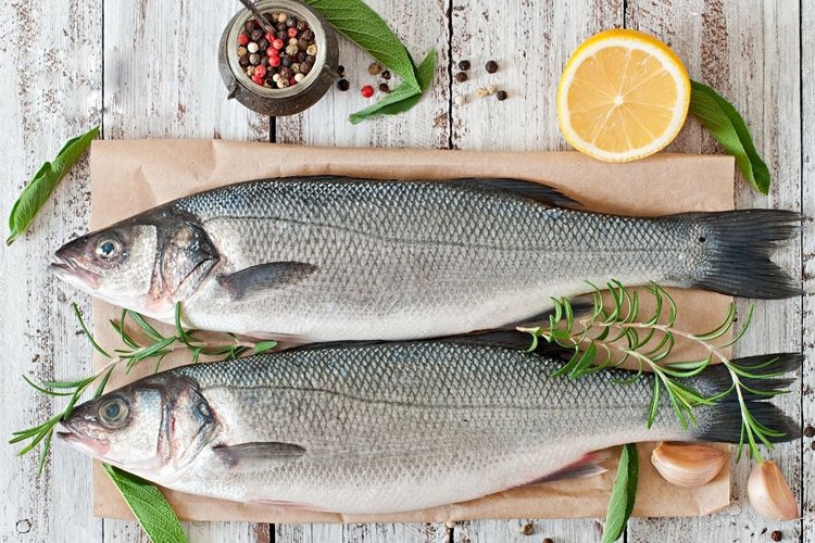 Levrek ihracatın zirvesinde! – İGF HABER