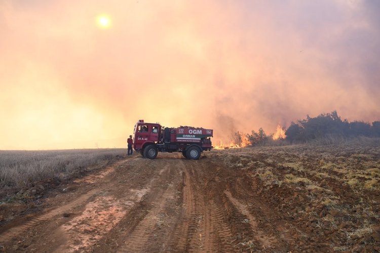 Malkara’daki orman yangını söndürüldü – İGF HABER