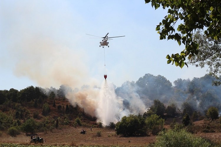 Bilecik’te orman yangını – İGF HABER
