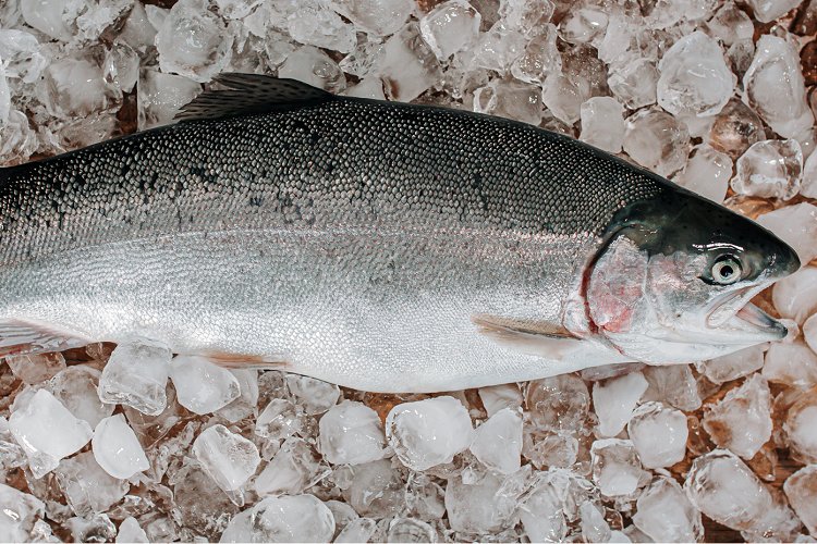 Dondurulmuş balık alırken dikkat! – İGF HABER