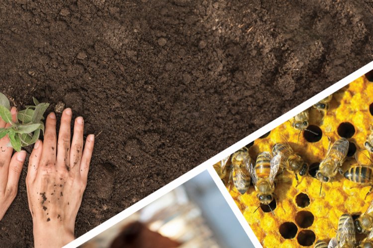 KOOP-DES başvuruları uzatıldı – İGF HABER