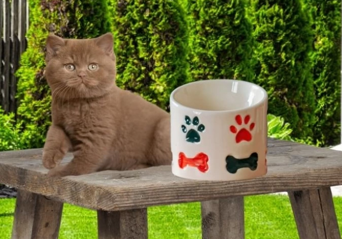 Pars Pet Seramik Kedinizin Sofrasını Şıklaştırın