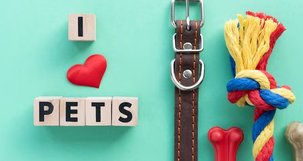 PETEDOR Evcil Hayvanlarınız İçin Kaliteli ve Güvenilir Bir Liman