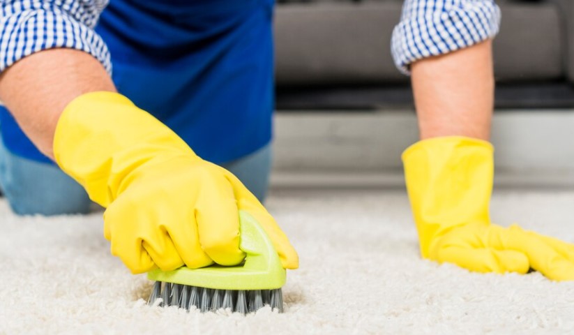 Networkdry ile Ev Konforunda Profesyonel Halı Yıkama Deneyimi