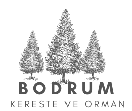 Profesyonel Seçim: Zaman ve Maliyet Tasarrufu İçin Bodrum Plywood