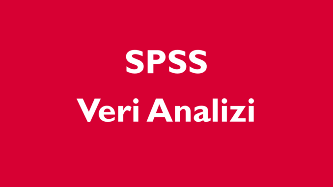 Yüksek Lisans ve Doktora Tezleri İçin SPSS Analizi Desteği