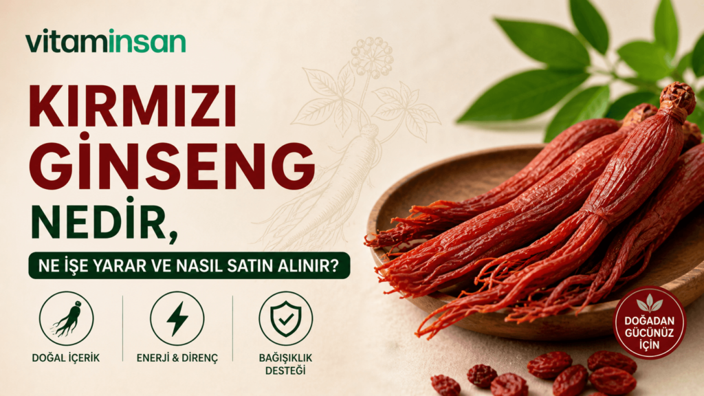 Kırmızı Ginseng Nedir, Ne İşe Yarar ve Nasıl Satın Alınır?