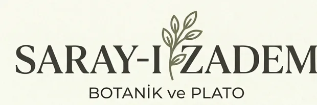 DOĞAL DENGEYİ YAKALAYIN: SALON & OFİS BİTKİLERİ TRENDİ