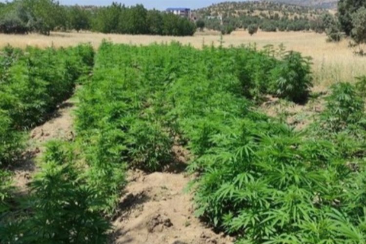 Diyarbakır narko terör ‘Ablukası’nda