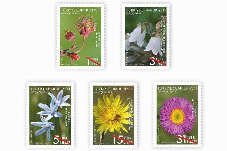 PTT’nin pulları ‘çiçek’ açtı