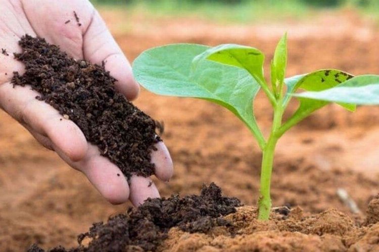 Manisa’da üreticiye gübre desteği