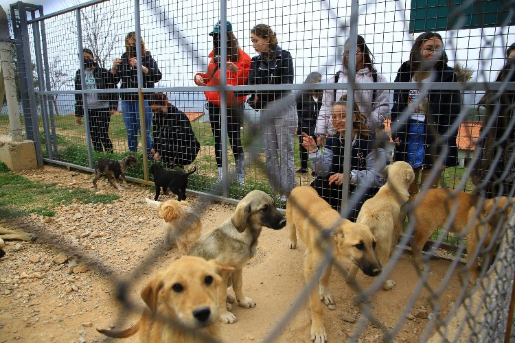 Muğla’da öğrencilerden can dostlarına ziyaret