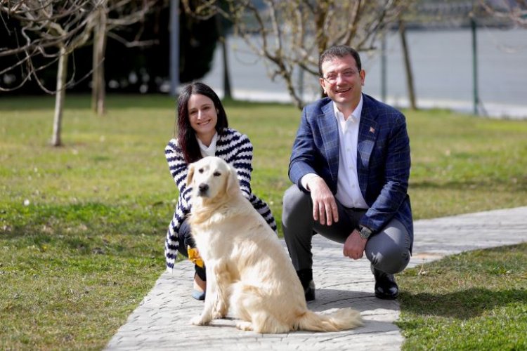 Can dostları ‘Sahiplen İstanbul’ ile yuva buluyor