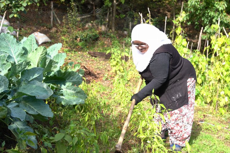 Bursa Yıldırım’da pazar atıkları üretime can oluyor