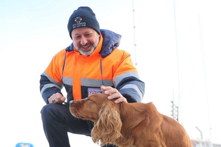 Kayseri Kocasinan’dan can dostlara anlamlı destek