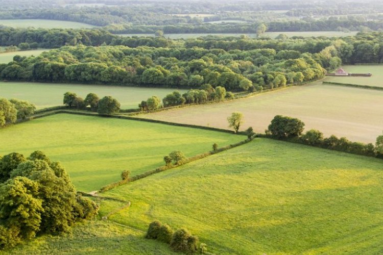 Hazine arazileri ‘enerji’ verecek
