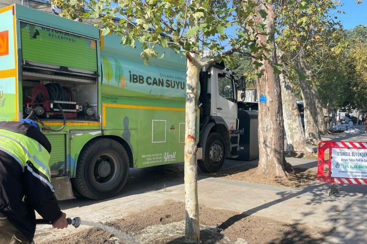 İBB ‘Çınar’ neslini yaşatacak