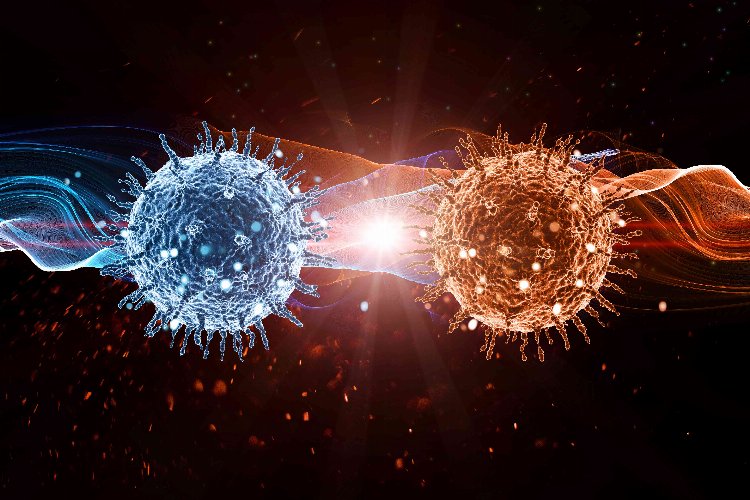 Erkeklerde en çok akciğer, kadınlarda meme kanseri görülüyor