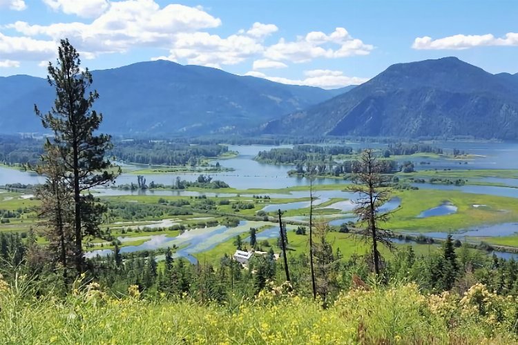 “Türkiye dünyanın gıda merkezi olabilir”